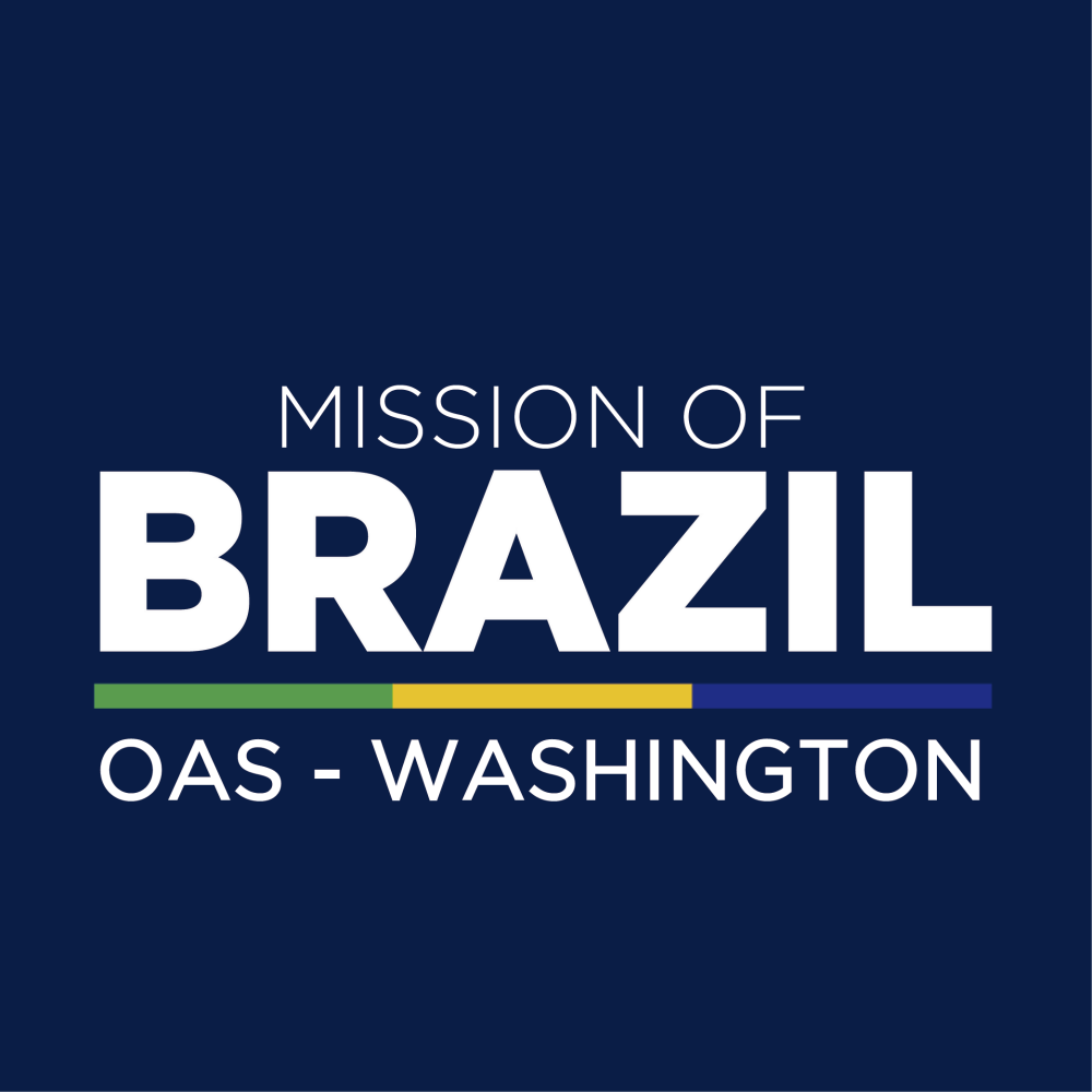 OAS mission of Brazil