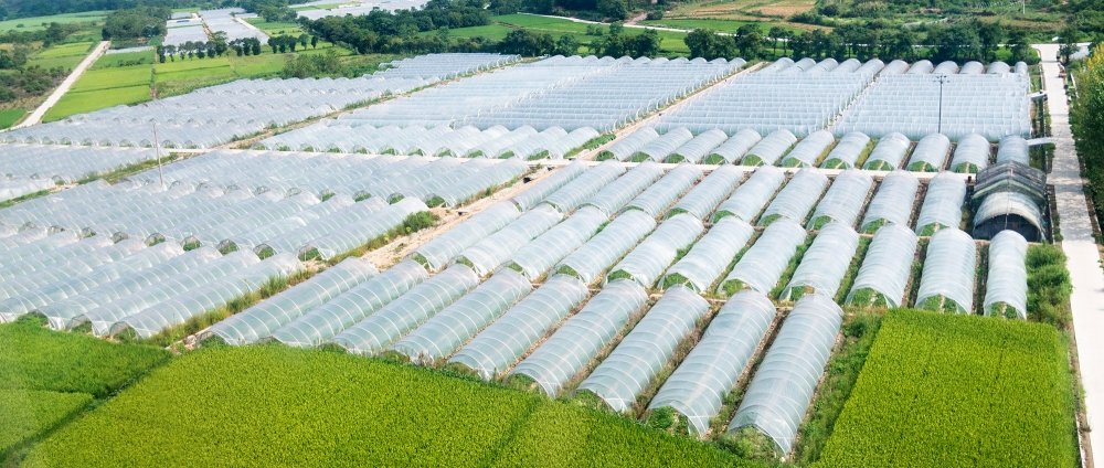 ag plastic china rural