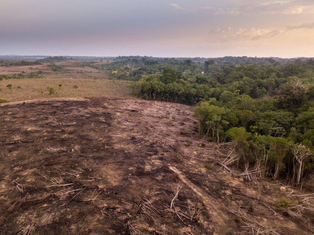 Drone aerial view of deforestation in the Amazon rainforest