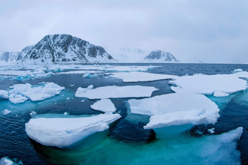 GEP - Arctic
