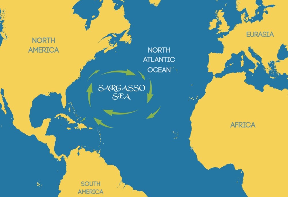 Graphic rendition of the Sargasso Sea in mid-Atlantic Ocean