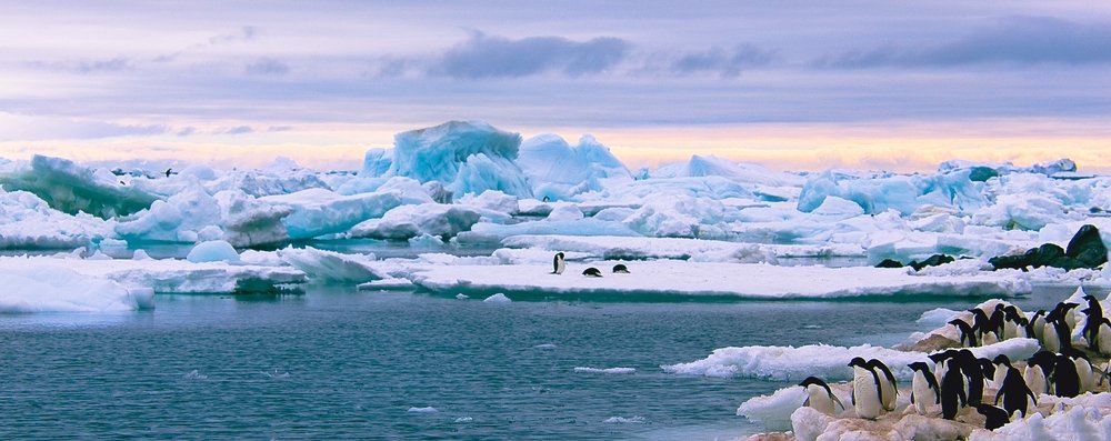 Antarctica ice and penguins picture
