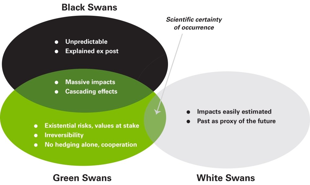 Chart with info about Black, White, and Green Swans