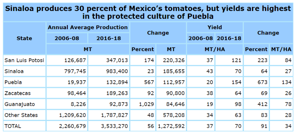 Mexico tomato production