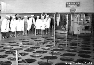 A grou pof people in white lab coats standing by a floor covered in round access ports.