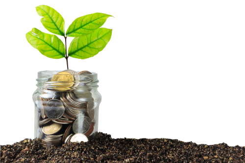 Glass jar filled with coins and a tree growing out the top