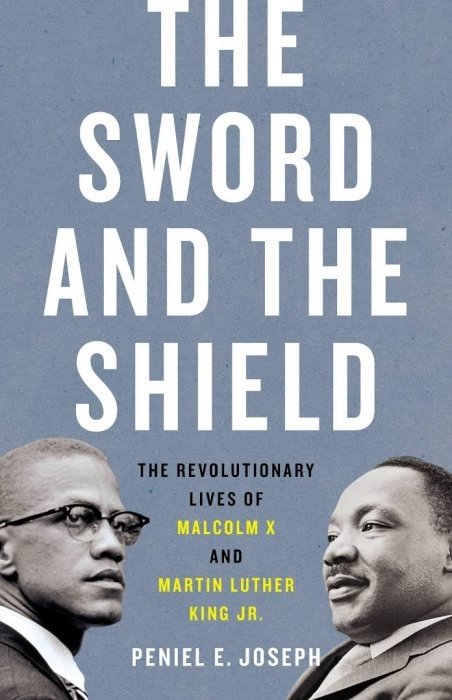 The Sword and the Shield Book Cover
