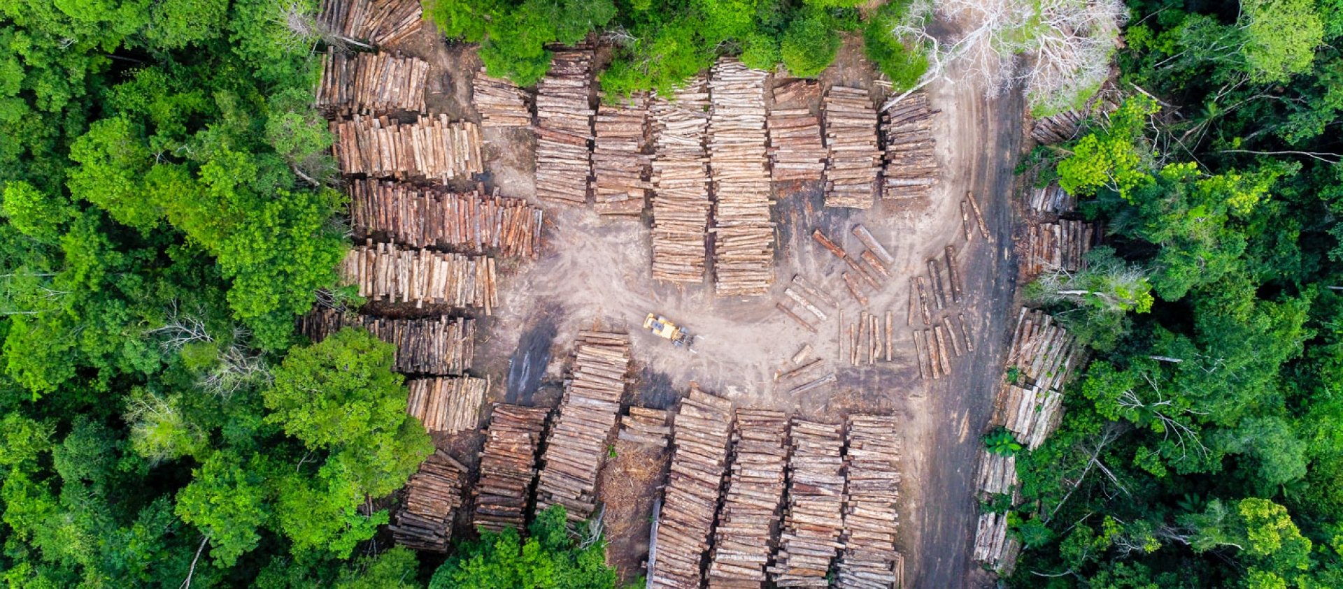 Aerial view of a log storage yard from authorized logging in an area of the Brazilian Amazon rainforest.
