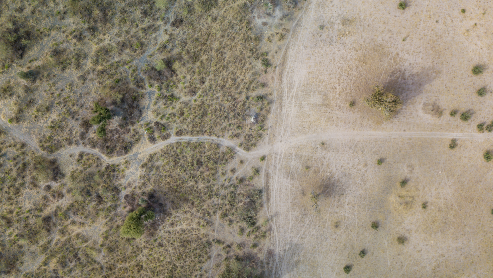 Green and dry land in Senegal