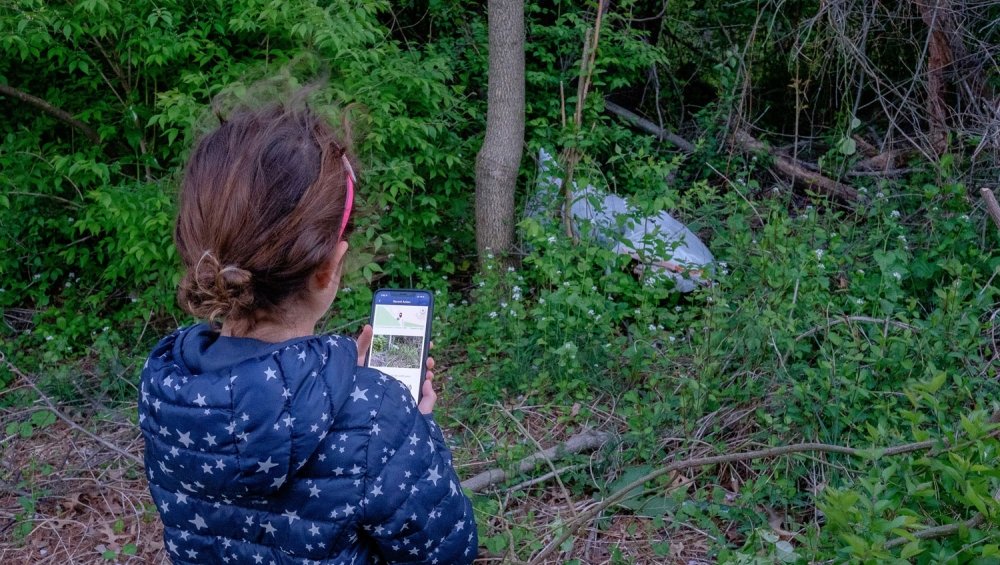 Child doing Earth Challenge in woods