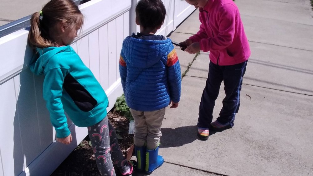 Children Earth Challenge Sidewalk