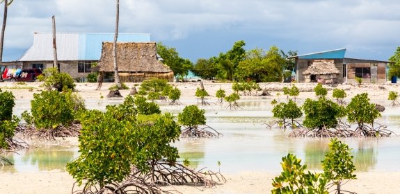 Village on South Tarawa atoll, Kiribati, Gilbert islands, Micronesia, Oceania. Thatched roof houses. Rural life on a sandy beach of remote paradise atoll island under palms and with mangroves around.