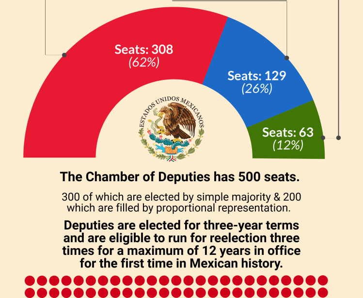 Infographic | 2018 Mexican Election Chamber of Deputies Results