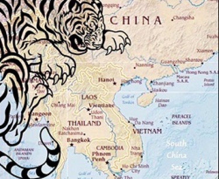 Review: Peter Navarro's ‘Crouching Tiger’