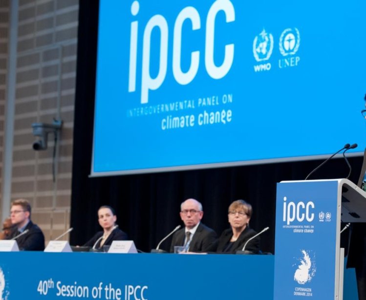 Climate Change: Is Urgency for Action Growing?