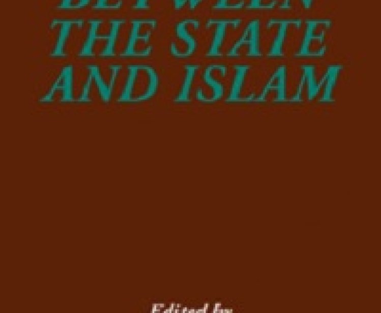 Between the State and Islam, edited by Charles E. Butterworth and I. William Zartman