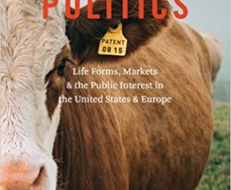 Patent Politics: Life Forms, Markets, and the Public Interest in the United States and Europe