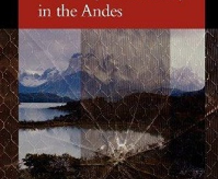 Illegal Drugs, Economy, and Society in the Andes by Francisco E. Thoumi