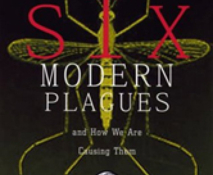 Six Modern Plagues and How We are Causing Them