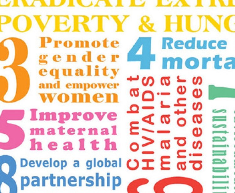 Making the Millennium Development Goals Sustainable