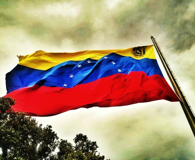 Democracy Imperiled:  Venezuela and the Collapse of Democratic Institutions