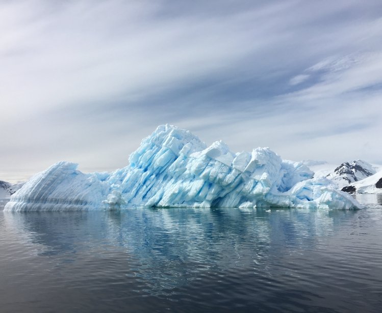 Charting Progress: Creating New Marine Protected Areas in Antarctica and the High Seas