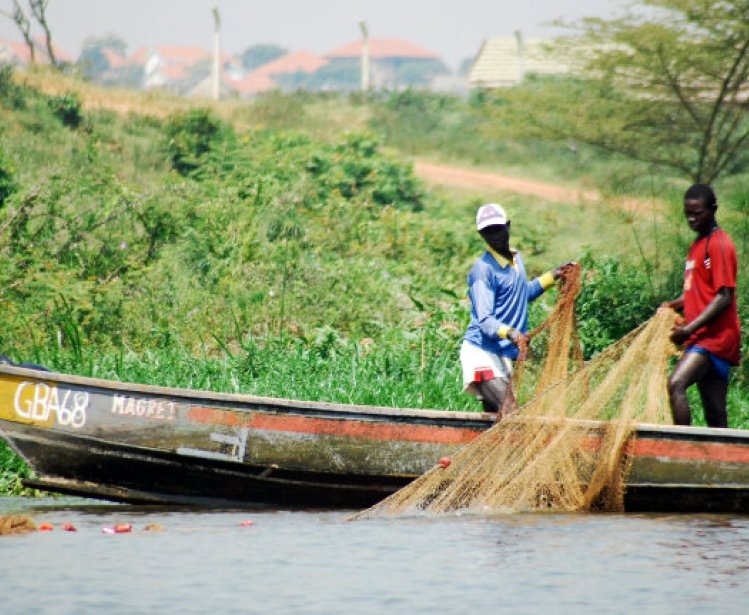 HoPE for Sustainable Development: Development Results from Integration in East Africa