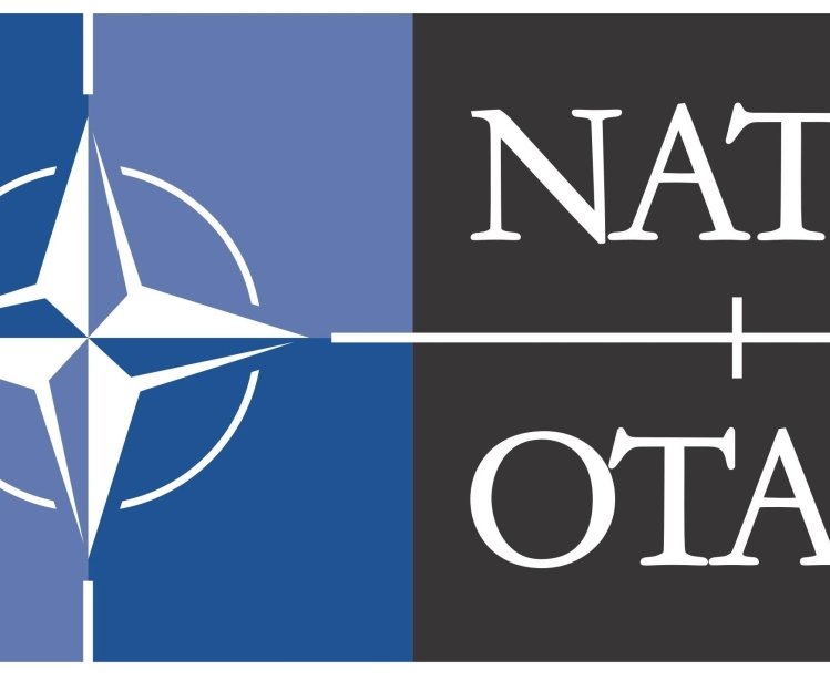 Into the Fold or Out in the Cold? NATO Expansion and European Security after the Cold War