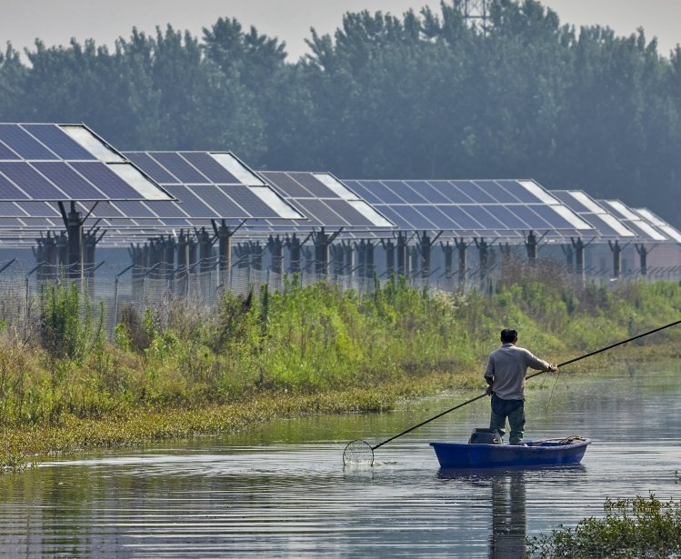 Shining a Light on a Greener Belt and Road: Chinese Solar Power Investment in Southeast Asia
