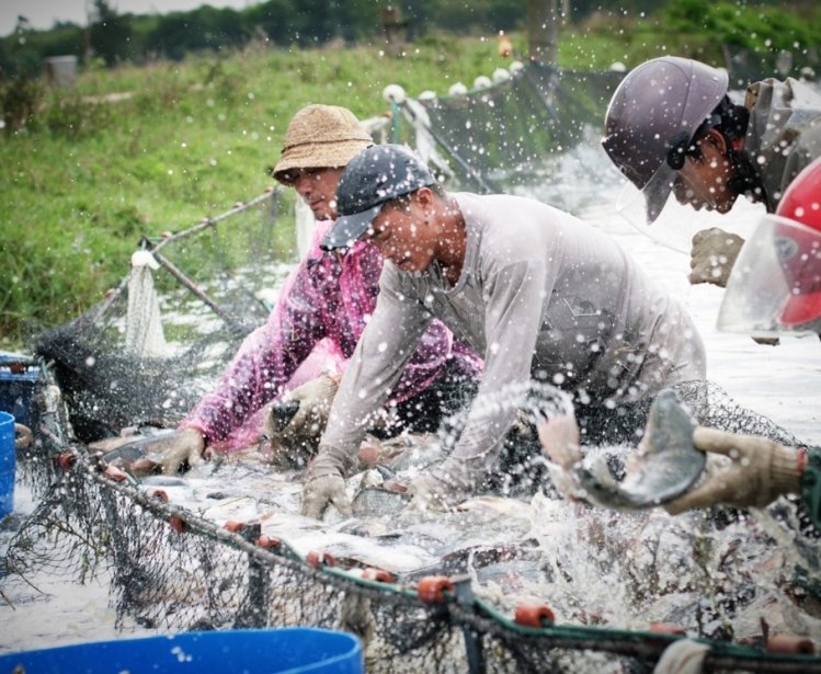 Reining in China’s Aquafarming Sector: Interview With China Blue’s Han Han