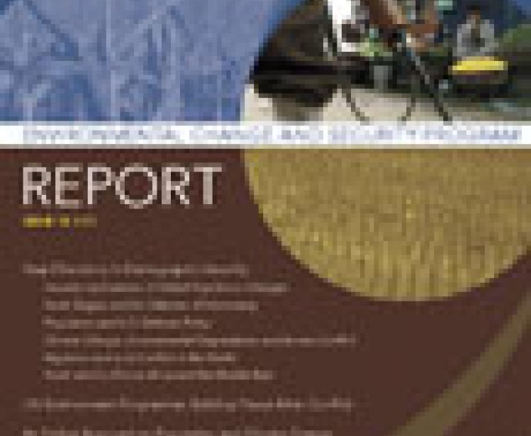 ECSP Report 13: Cover and Table of Contents