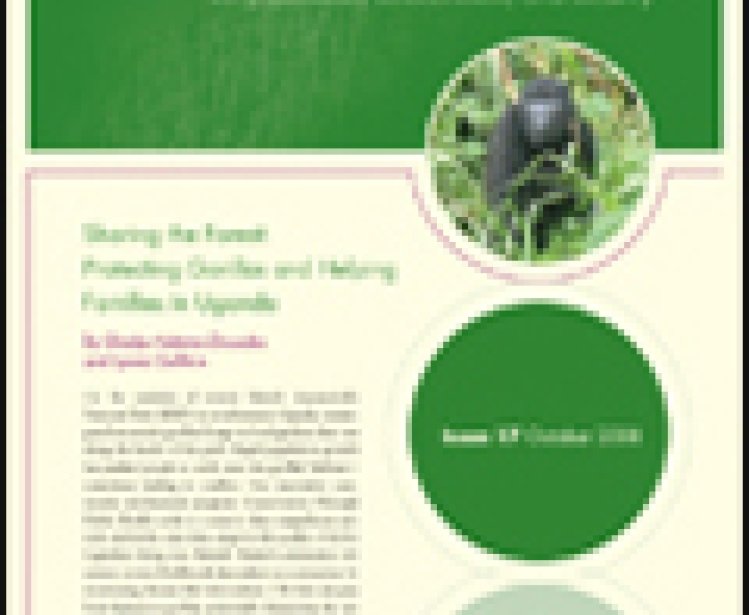 Issue 17: Sharing the Forest: Protecting Gorillas and Helping Families in Uganda