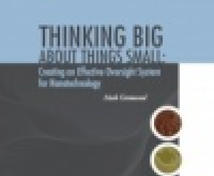PEN 7 - Thinking Big About Things Small: Creating an Effective Oversight System for Nanotechnology