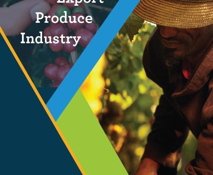Farm Labor and Mexico's Export Produce Industry