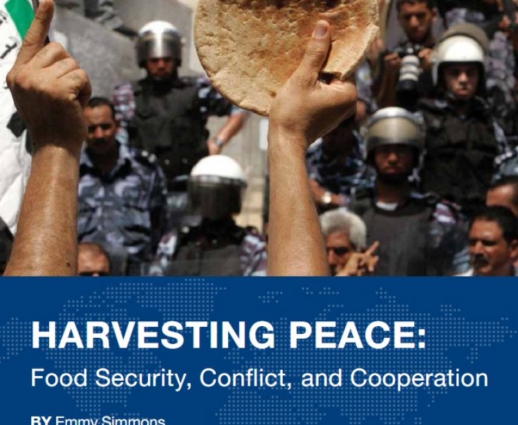 Harvesting Peace: Food Security, Conflict, and Cooperation