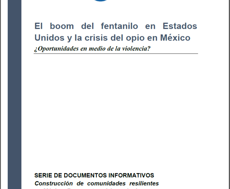 El boom del fentanilo en Estados Unidos y la crisis del opio en México: ¿Oportunidades en medio de la violencia?