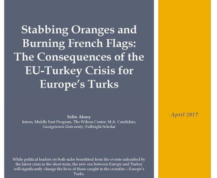 Stabbing Oranges and Burning French Flags: The Consequences of the EU-Turkey Crisis for Europe’s Turks