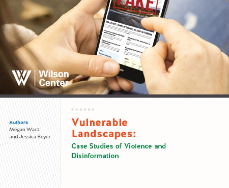 Vulnerable Landscapes: Case Studies of Violence and Disinformation