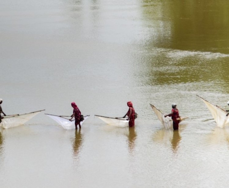 Women fishing in the Terai region of Nepal. 