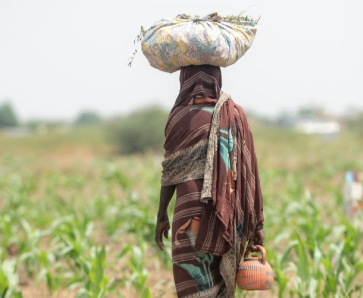 Farmer African girl walking in farm field in Chad N'Djamena travel, located in Sahel desert and Sahara. 