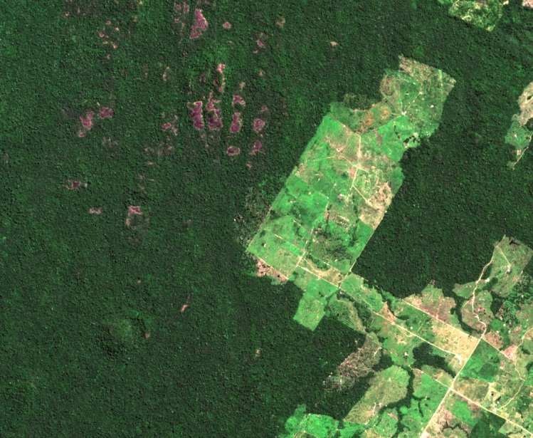 Satellite image of deforestation in Carajas, Brazil (2016).