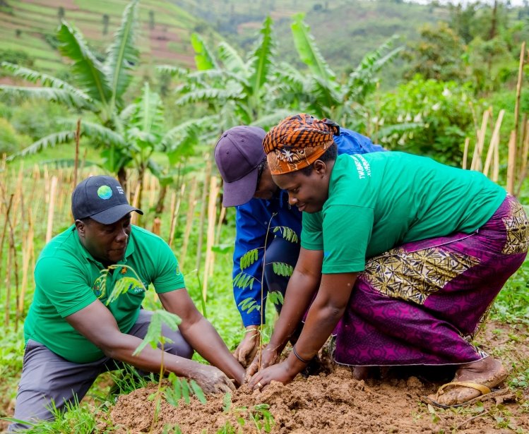 The Government of Rwanda, through the Ministry of Environment and Rwanda Green Fund (FONERWA), has launched the ‘Strengthening Climate Resilience of Rural Communities in Northern Rwanda’ project in Gicumbi District on 26 October 2019. This project, which is being financed by the Green Climate Fund (GCF), will increase the district’s climate resilience and prepare residents for the impacts of climate change. It will also support the adoption of low carbon technologies and job creation.