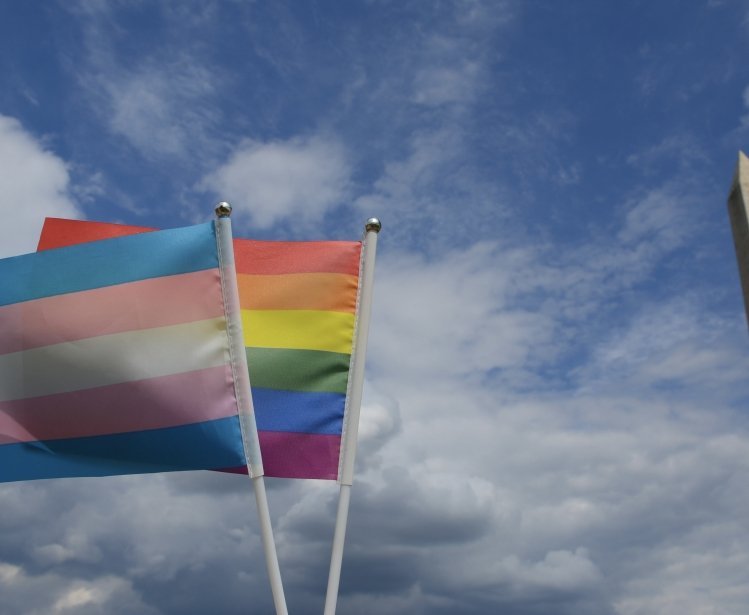 Pride Flags by the Washington Monument 