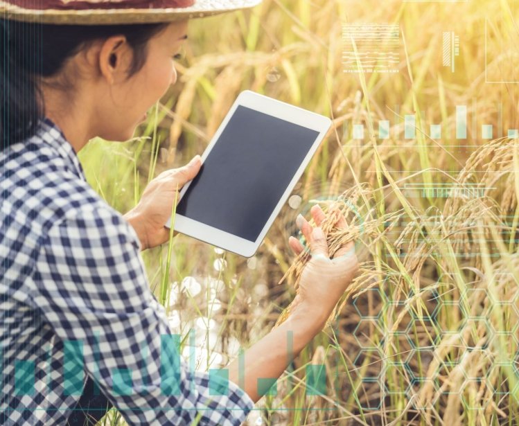 A woman is in a field of wheat looking at a device with images of technology readouts on top.