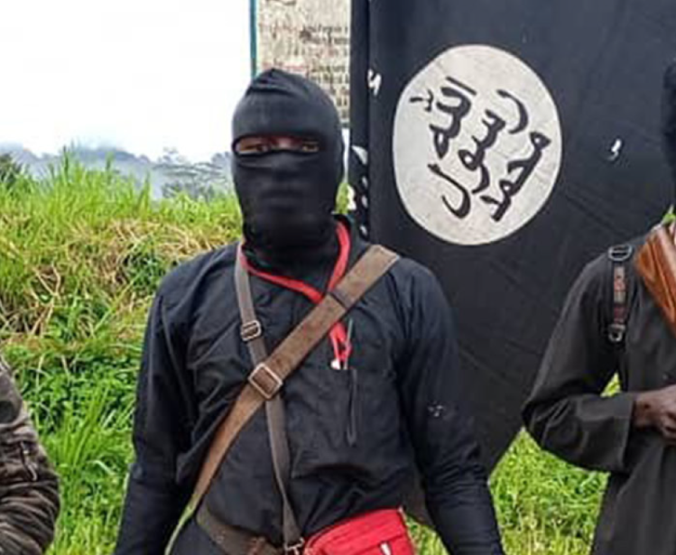 Islamic State fighters in Mozambique wide