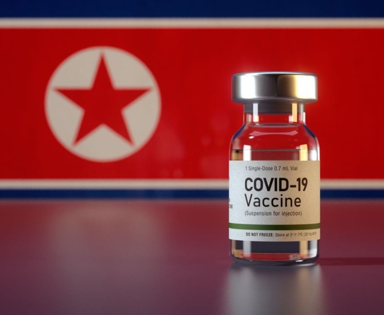 A vial of Covid-19 Vaccine sits in front of the flag of North Korea.