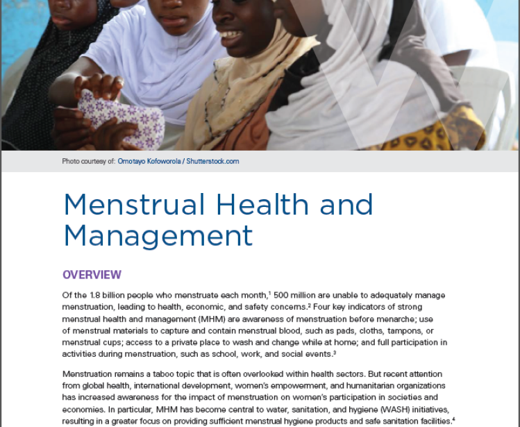 Page one of policy brief by the Maternal Health Initiative