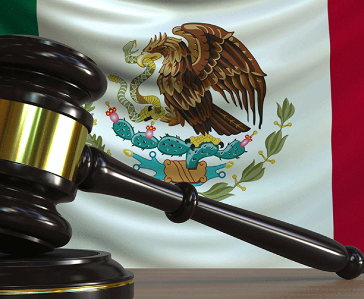Image - Mexican Flag and Gavel