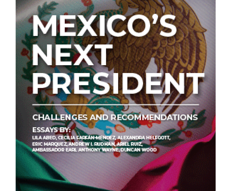 Mexicos Next President Booklet Cover