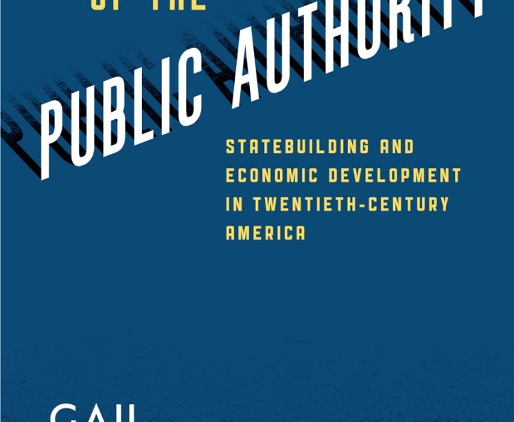 Rise of Public Authority Book